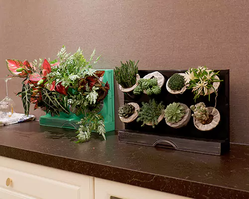 Kolorowe doniczki sprawiają, że moje rośliny każdego dnia czują się jak na wakacjach