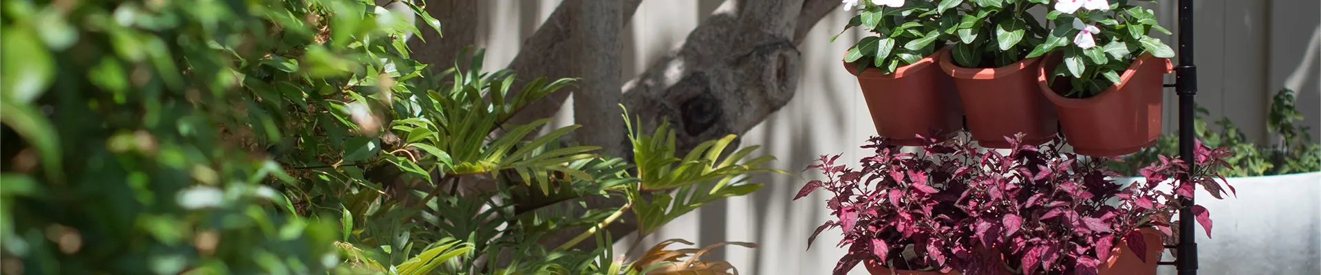 Ekologiczne ogrodnictwo Pionowy ogród