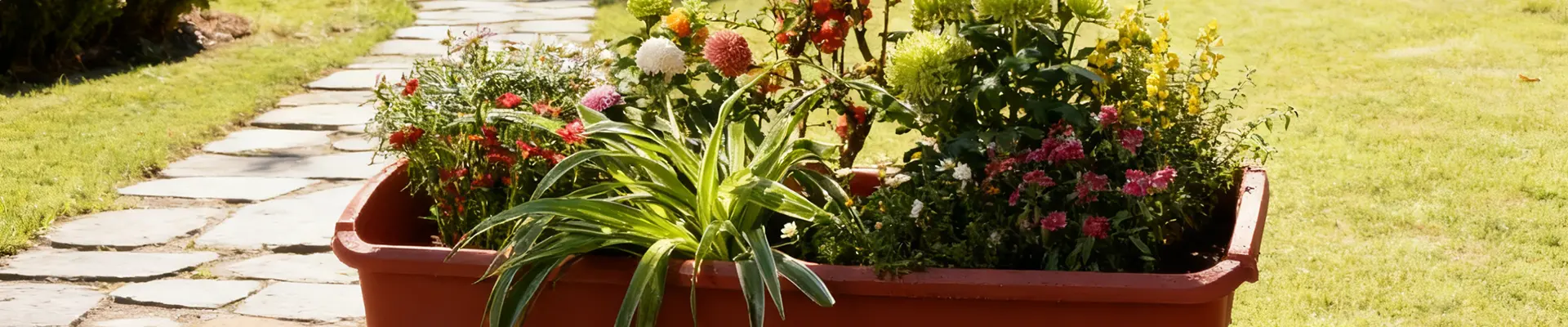 Pudełko do sadzenia