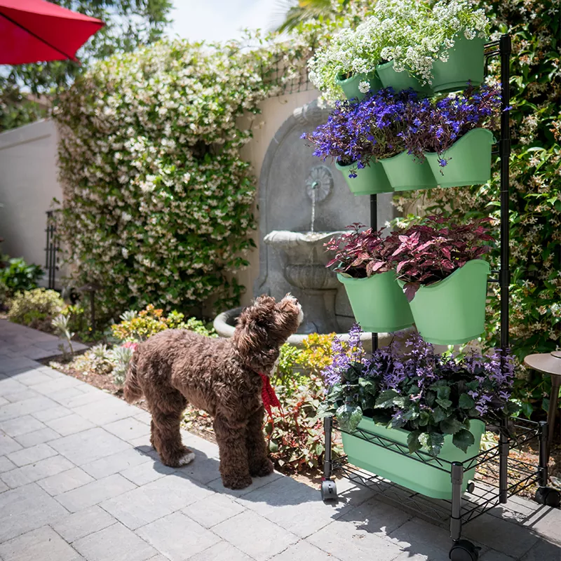 Metalowa mobilna zielona ściana podwójna rama