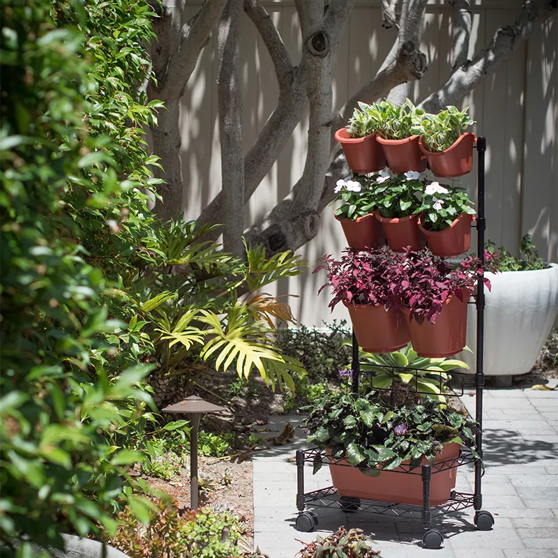 Metalowe mobilne zielone donice ścienne z pojedynczą ramą