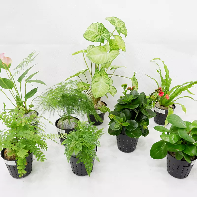 Materiał PP 3-calowa donica wewnętrzna